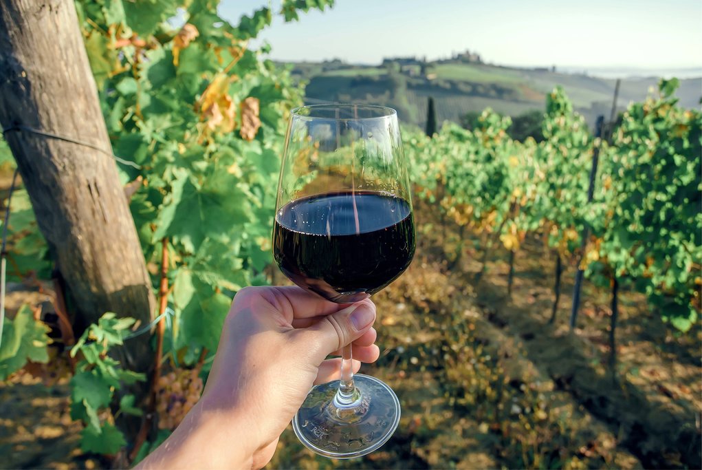 Wine Regions Worth Traveling For