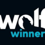 Wolf Winner Bonus Missing Deposit Blockchain Proof Guide 2026